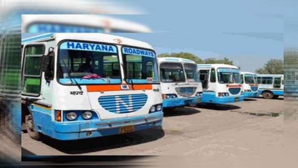 haryana news haryana news