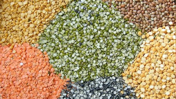  India import policy extended for urad tur dal