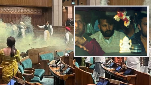 Parliament Security Breach Case