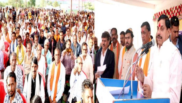 mp news