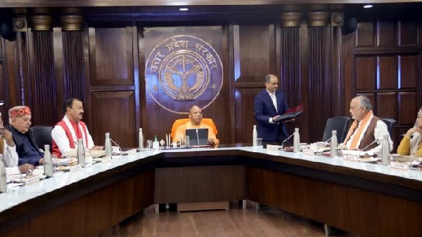 yogi cabinet