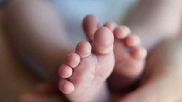 sex ratio at birth