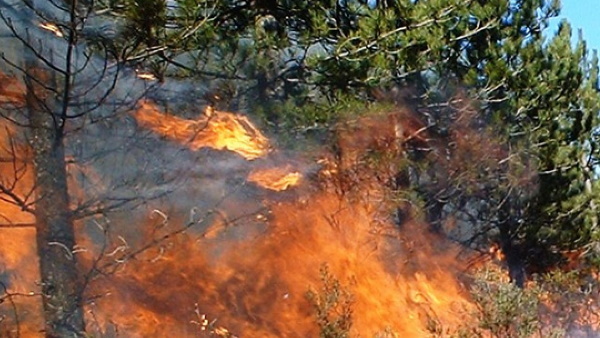 Odisha Forest Fire Odisha Forest Fire