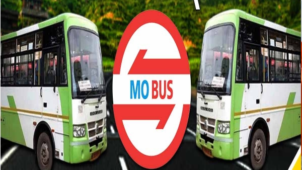  Mo Bus Service