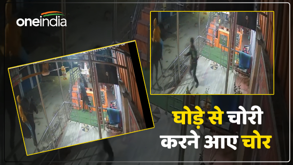 thieves-came-to-steal-not-from-a-car-but-from-a-horse-watch-video