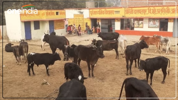 children-were-studying-in-school-villagers-arrived-with-animals
