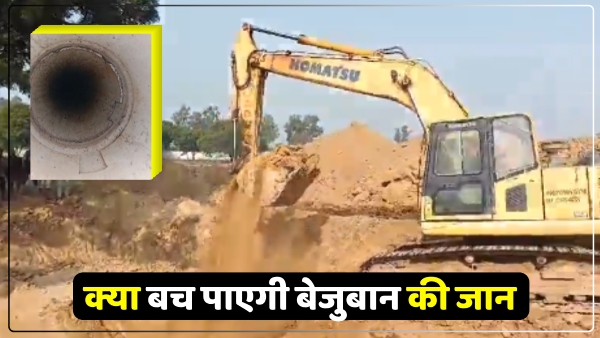 up-lamb-fell-into-borewell-five-jcbs-deployed-to-save-it