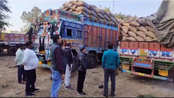 Paddy seized in UPs Rewa