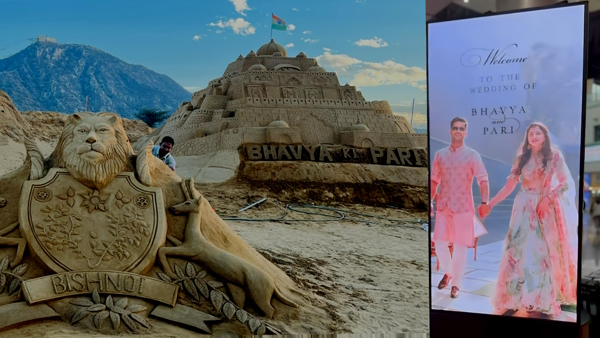 IAS Pari Bishnoi MLA Bhavya Bishnoi Wedding Photo