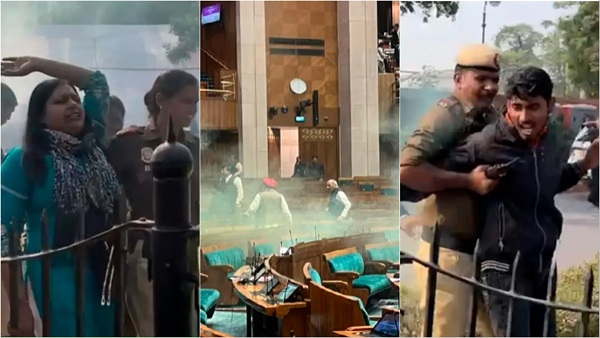 Parliament security breach