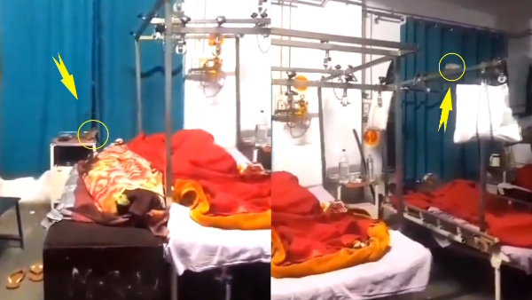 viral video of rats running over patients bed in rampur district hospital viral video of rats running over patients bed in rampur district hospital