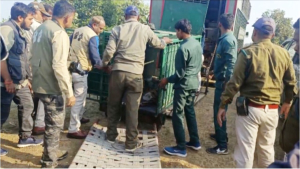 Sehore Tigress Rescue,