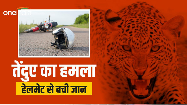Leopard attacked a young man riding a bike, helmet saved his life, everyone was surprised hear 