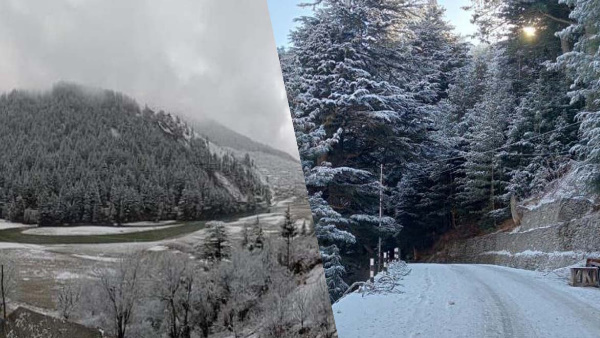Uttarakhand weather Snowfall, rain dry, know how weather will mountains on Christmas New Year