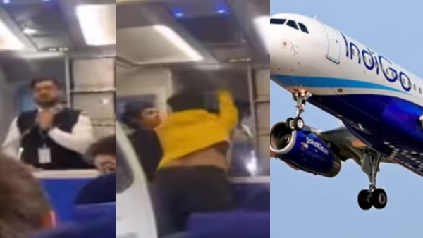 indigo passenger