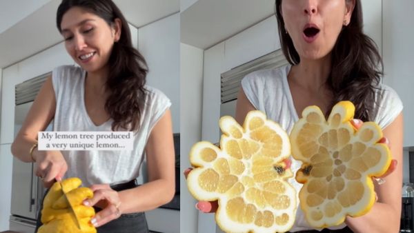 Weird and Bizarre lemon