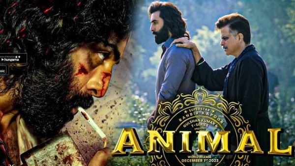 animal animal