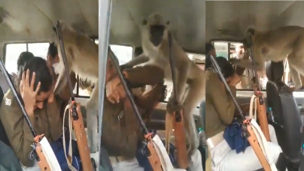 Bihar police monkey video