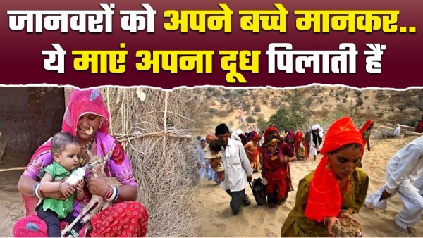 bishnoi women breastfeed animals