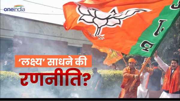 bjp lok sabha election strategy