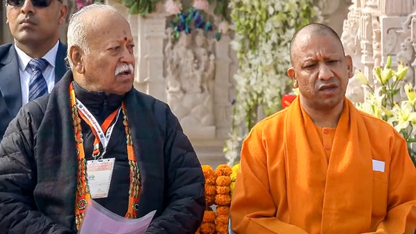 yogi
