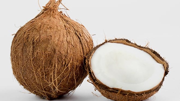 Coconut
