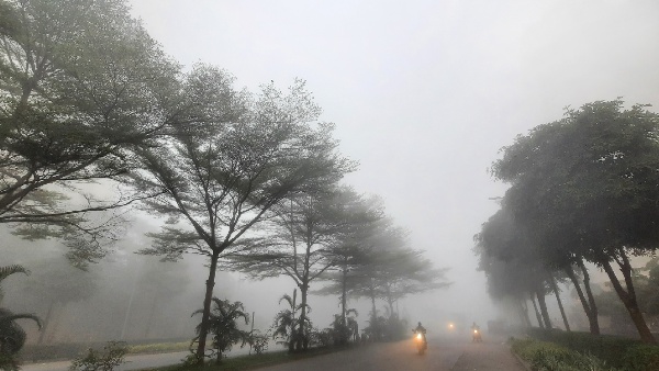 Cold Wave Weather Updates
