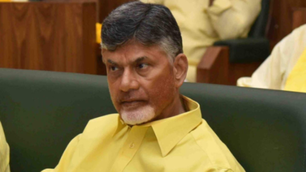 n chandrababu naidu
