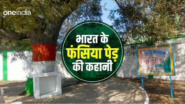 damoh fansia neem tree story