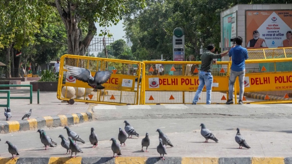 Delhi Traffic Police 