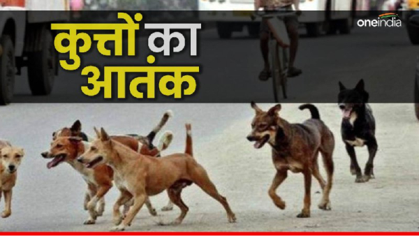 Gwalior stray dog terror Gwalior stray dog terror