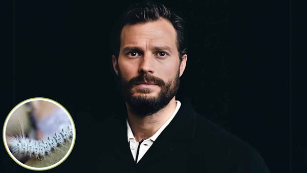 Jamie Dornan heart attack Jamie Dornan heart attack
