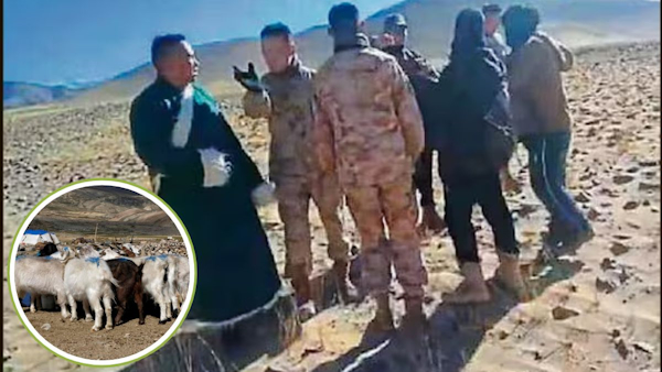 Chinese soldiers clash with Indian shepherds 