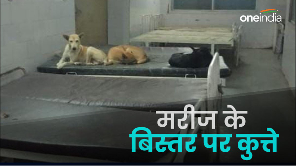 Maihar Civil Hospital dog on patients bed Maihar Civil Hospital dog on patients bed