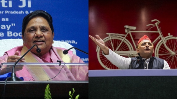 bsp chief mayawati and sp president akhilesh