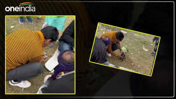 youths-did-bad-work-with-puppies-in-bareilly-during-new-year-celebrations youths-did-bad-work-with-puppies-in-bareilly-during-new-year-celebrations