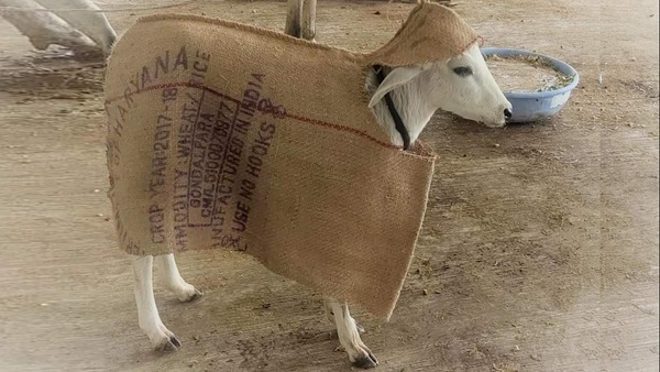 Rajasthan aaj ka Mosam 