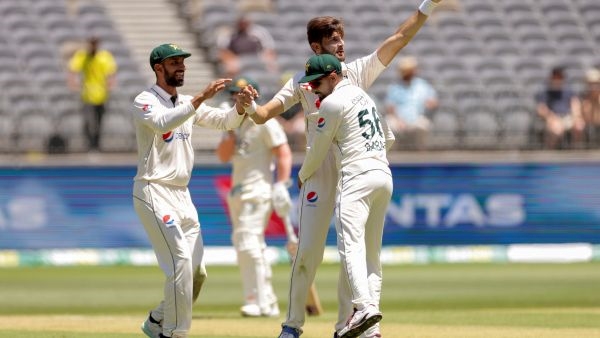 shaheen afridi