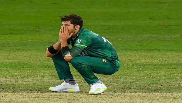 Shaheen Afridi