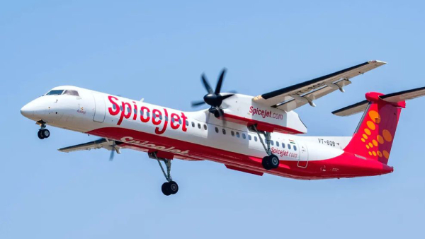 Darbhanga-Delhi SpiceJet flight