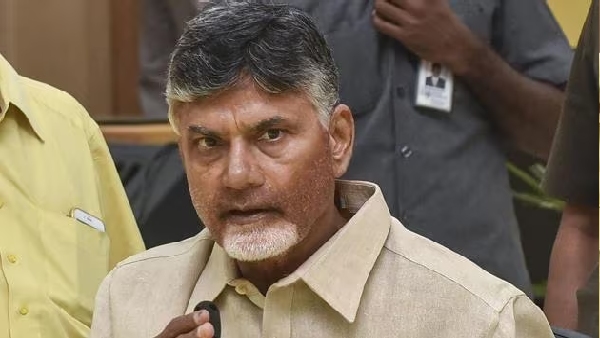 TDP chief N Chandrababu Naidu