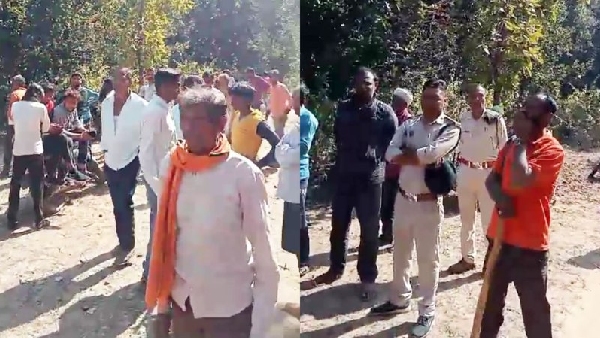 Umaria woman in the jaws of the tigress