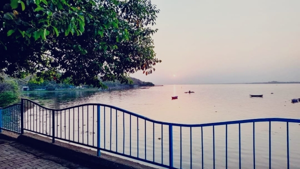 Bhopal weather news Dense fog like Shimla, intermittent rain and no sunshine since morning Bhopal weather news Dense fog like Shimla, intermittent rain and no sunshine since morning