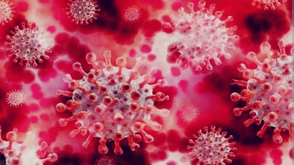 25 married Corona positive patients in 15 days, currently 9 active cases