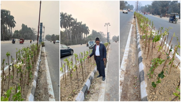 Nisarg Nursery got responsibility of keeping Rampath of Ayodhya green by planting flowers