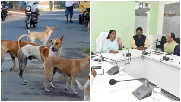 Dogs made 41 people their victims, Mayor Malti Rai held a meeting with MIC members. Dogs made 41 people their victims, Mayor Malti Rai held a meeting with MIC members.