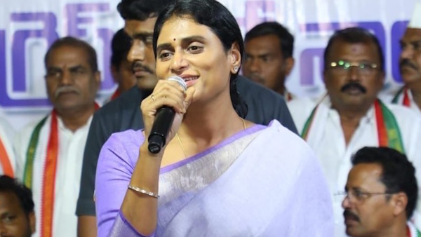 सभी 26 जिलों का दौरा करेंगी APCC प्रमुख वाईएस शर्मिला