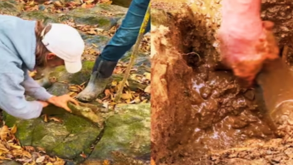 people found gold in mud