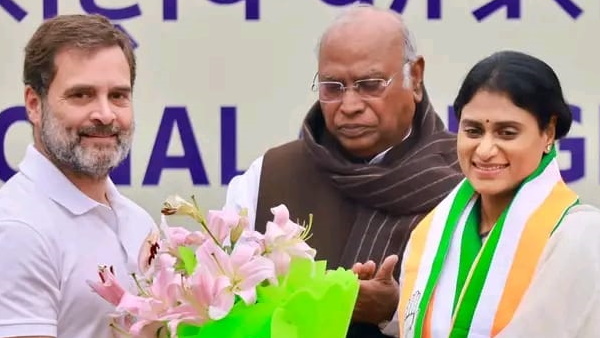 ap news ap news