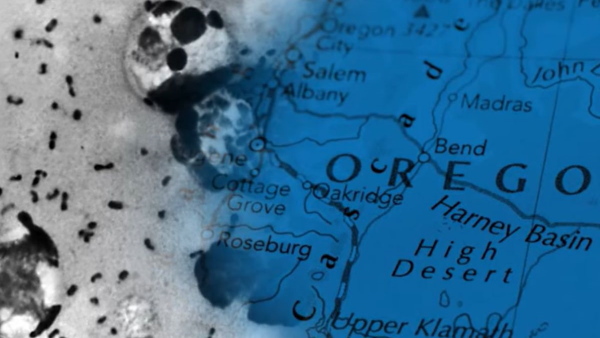 what is bubonic plague